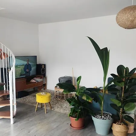 Urban Jungle - T2 - Centre *