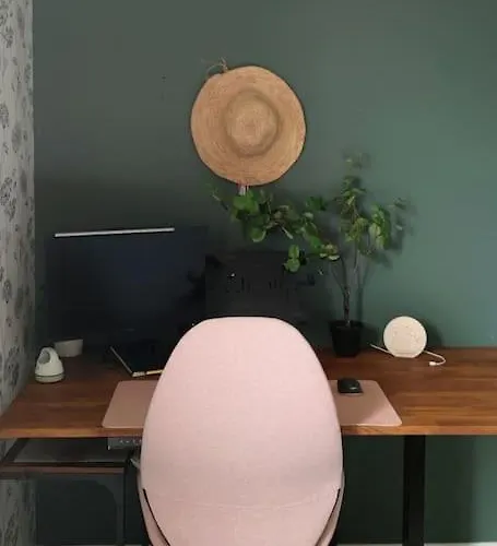 Urban Jungle - T2 - Centre Daire Tourcoing