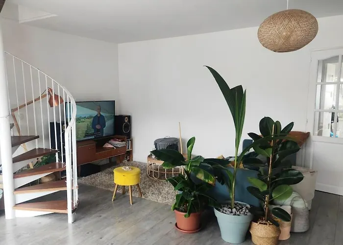 Urban Jungle - T2 - Centre *