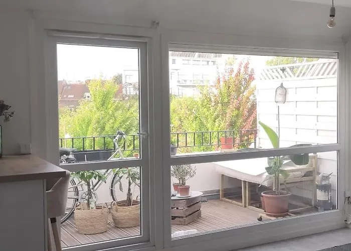 Urban Jungle - T2 - Centre